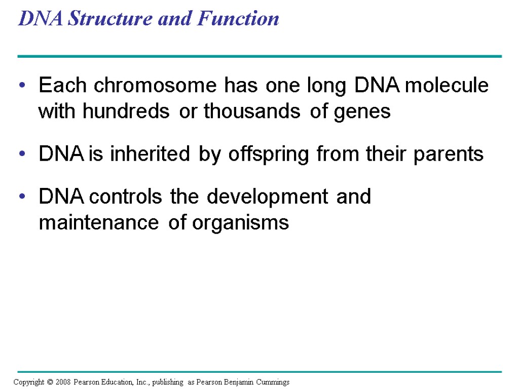 DNA Structure and Function Each chromosome has one long DNA molecule with hundreds or